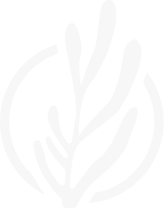Logo Watermark