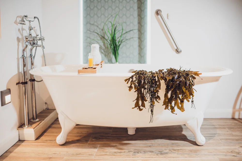 Stylish freestanding bath with seaweed handing off the side
